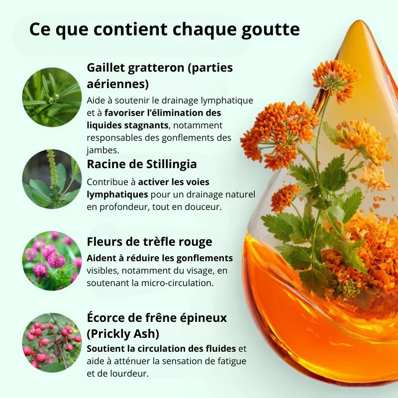 Gouttes Drainage Lymphatique